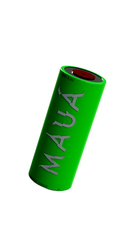 The LiFePO4 battery