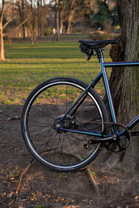 Gravel Beetle PF1